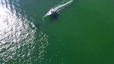 De tag moet perfect worden ingezet voor... - Return of the White Shark