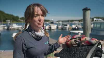 De wateren van Cape Cod bezochten
gedurende een periode van vijf jaar... - Return of the White Shark