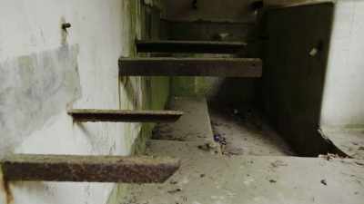 Deadly weapons are being created
just under the forest canopy. - Secret Nazi Ruins