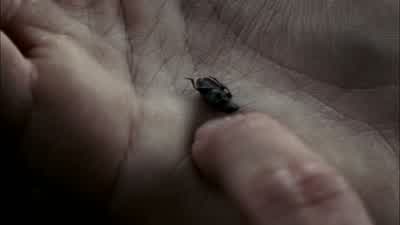 DEAN: So you found some beetles. - Supernatural