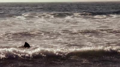 Deanna there's a shark - Sharknado