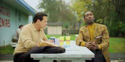 Dear Dolores. - Green Book