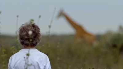 "Dear mommy, this
morning I was out giraffing - The Woman Who Loves Giraffes
