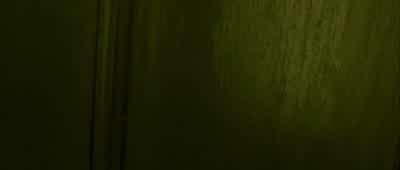 Dear Mrs. - Amélie
