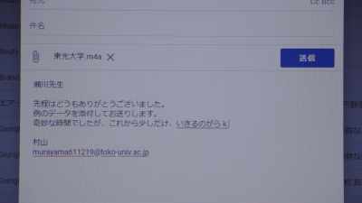 DEAR PROFESSOR SEGAWA, - Wheel of Fortune and Fantasy