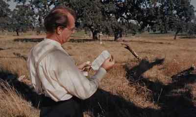 "Dear Reverend, - Pollyanna