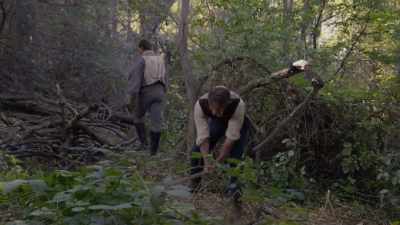 Dearest Oliver, we thought,
perhaps, - Witnesses