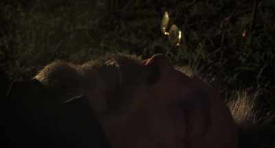 Death... - The Distinguished Citizen