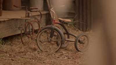 DEBORAH: For years, it seemed like a dream, - The Immortal Life of Henrietta Lacks