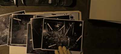 Decedents Jackson and Brady
were found proximate to Allen. - Guillermo del Toro's Cabinet of Curiosities