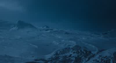 Deceit is a tool of a great king. - Mufasa: The Lion King