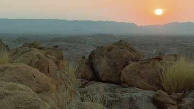 Deceiving a different
species is one thing, - Attenborough's Life in Colour