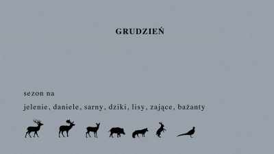 DECEMBER - hunting season for deer, - Spoor