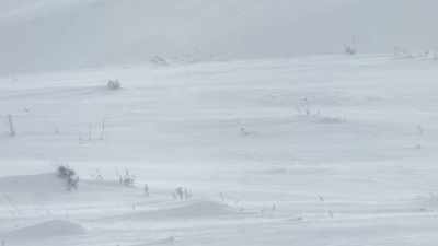 December is the coldest month
in yellowstone. - Epic Yellowstone