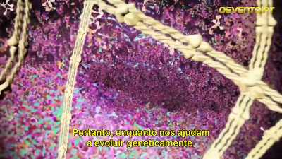 Deci, pe măsură ce ne
ajută să evoluăm genetic, - The Cosmic Secret