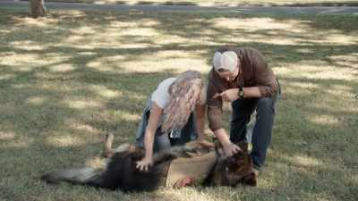 ...decided to settle down
in Waco - Fixer Upper: Behind the Design