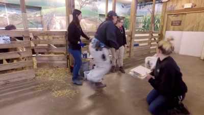Dede: I personally like
these annual exams - Secrets of the Zoo
