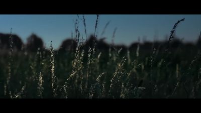 [deer grunts] - Prey