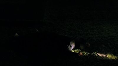 Definitely the fall
that killed him. - Hawaii Five-0
