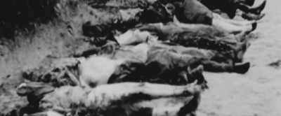[Defonseca] Killing… - Misha and the Wolves