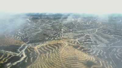 Deforestation -
and not only in Africa - - Seven Worlds, One Planet