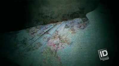 Delano: JOAN WAS ALSO FOUND
NUDE, FACEUP, SPREAD-EAGLE. - The Lake Erie Murders