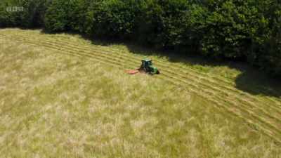 Delaying mowing until mid-July - Wild Isles