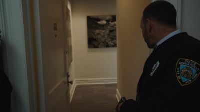 Delgado? Police! - Blue Bloods