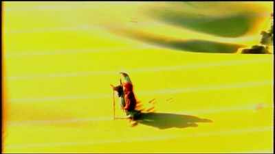Delicacy of essential sound - The Image Book
