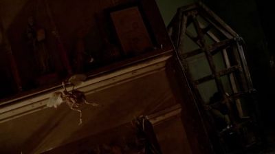 Delphine? - American Horror Story
