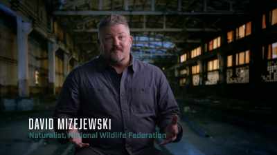 - Demikhov and his team
essentially do an experiment - The UnBelievable with Dan Aykroyd