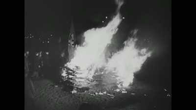 Democracy is fragile,
because in order for it to be truly - Rise of the Nazis