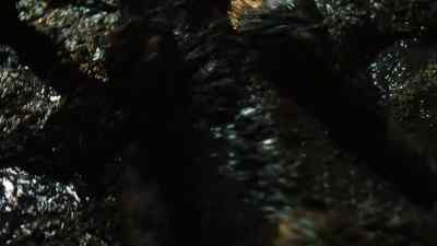 Denny, the mud
thing doesn't work. - The Invisible Raptor