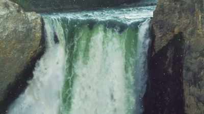Dense clouds of salmonflies
move upriver, - Epic Yellowstone