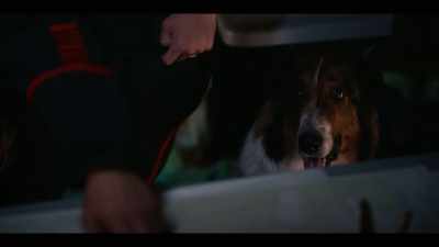 Dense woods,
granite outcroppings, a thousand acres. - Rescued by Ruby