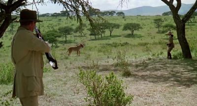 DENYS I wouldn't run - Out of Africa