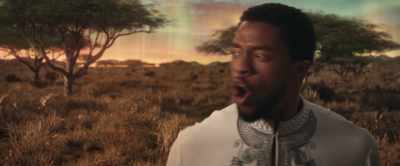 Depended You were wrong - Black Panther