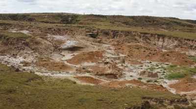 DEPENDING ON THE SITE
YOU FIND, SOME BONES - Dino Hunters