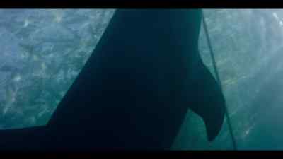 Depleted wild fish populations - Our Oceans