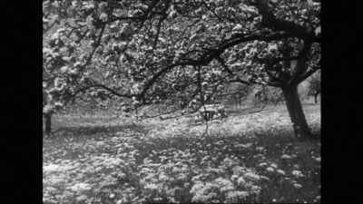 "Der verzauberte Tag" directed by
Peter Pewas is more private. - Hitler's Hollywood