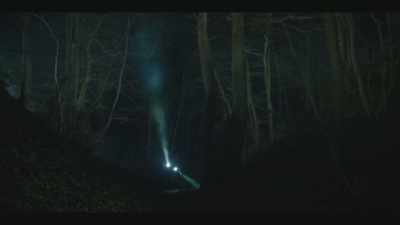 DEREK: Go slowly.
ANIMAL SHRIEKS - Passenger