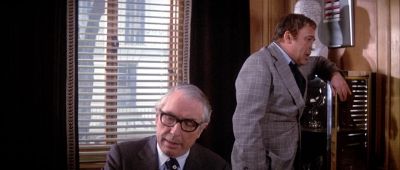Describe your thoughts - The Return of the Pink Panther