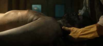 Despite autolysis and putrefaction, - Guillermo del Toro's Cabinet of Curiosities