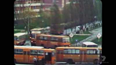 Despite the accident,
Chernobyl continues to grow. - The Chernobyl Disaster