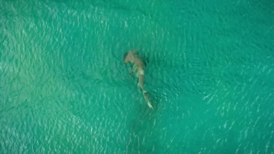'Despite the risks, - A Year on Planet Earth