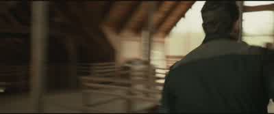 Detain him! - Insurgent