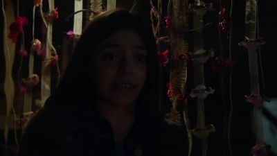 Detective Reagan? - Blue Bloods