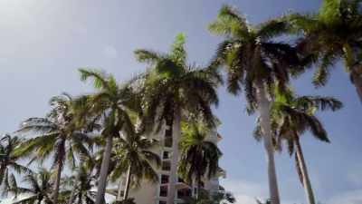 Detectives hope questioning
Justin Su - Floribama Murders
