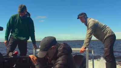 Determined, the crew
push their daily filming window - Predators