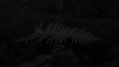 [device beeping softly] - Expedition Bigfoot